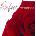 Various : Perfect Romance CD