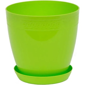 Roto Liliia F22