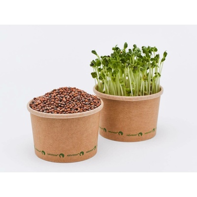 Tiny Greens Bílá ředkev Daikon BIO semínka na klíčení a 100 g