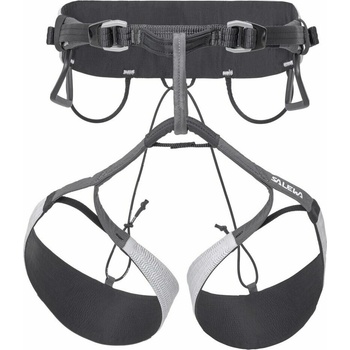 Salewa NXT Harness