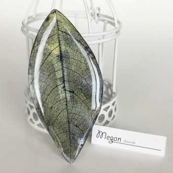 Meganflo Скелетирано листо Магия