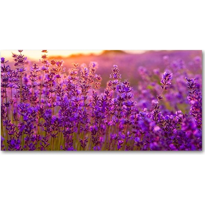 Fotoobraz na skle pole levanduľa 100x50 cm