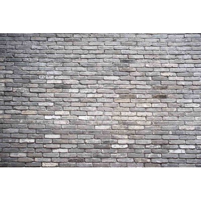 DIMEX ART Флизелинов фототапет сив тухлен декор 375 x 250 см