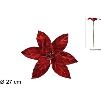 MAKRO Ruža vianočná 50cm