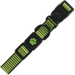 Active Dog Нашийник Active Dog Strong L лайм 2, 5x45-68см (0904-90564)