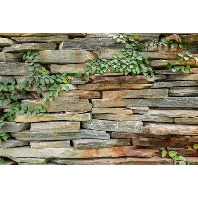 Dimex MS-5-2360 Vliesová fototapeta Kamenná zeď rozměry 375 x 250 cm