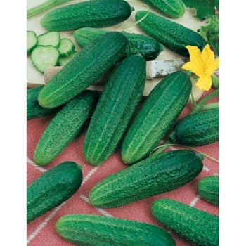 Uhorka nakladačka Santana F1