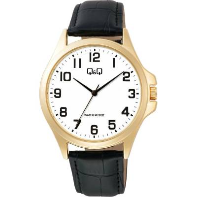 Q + Q C36A-009PY
