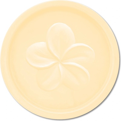 Esprit Provence prírodné tuhé mydlo Monoi 100 g