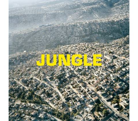 BLAZE - JUNGLE LP