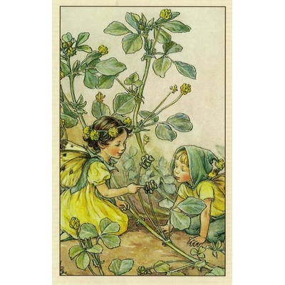 Pohlednice Květinová víla 62