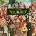 Laurence King Verlag GmbH DIe Welt von Terry Pratchett | Paul Kidby, Sarah Pasquay