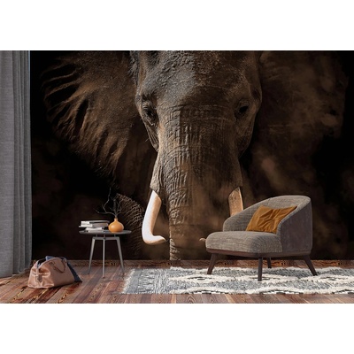 AG design FTNXXL-3016 vliesová fototapeta Elephant rozměry 360 x 270 cm