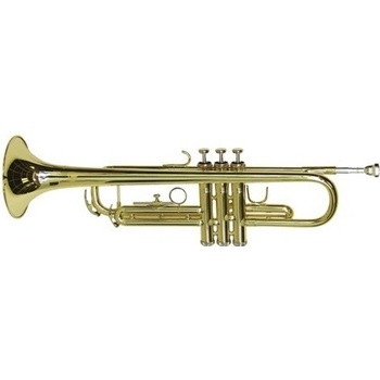 Dimavery TP-10