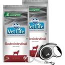 Vet Life Gastrointestinal 12 kg