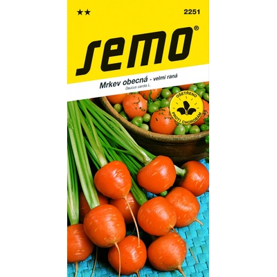 SEMO Mrkva obyčajná PARIS MARKET 4 - guľatá