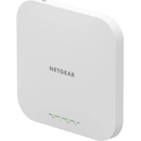 Netgear WAX610-100EUS