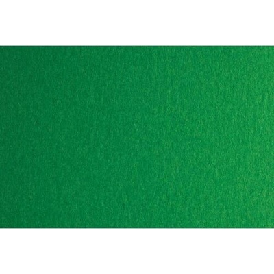 Fabriano Картон Colore, 70 x 100 cm, 200 g/m2, № 231, зелен (42303231/100_VERDE)