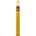 Cuba Strass Tiger EDP 35 ml