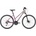 Kellys Pheebe 70 2025
