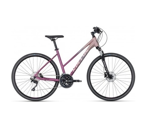 Kellys Pheebe 70 2025