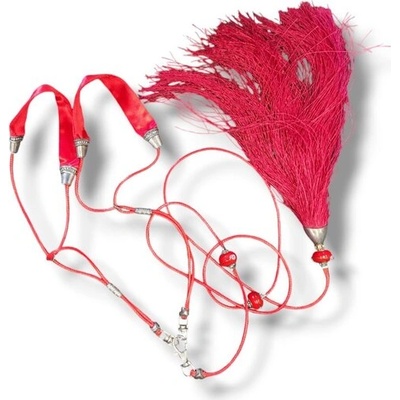 Tiger`s Heart Двоен Изложбен повод за дребни породи