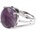 Nefertitis NF37140