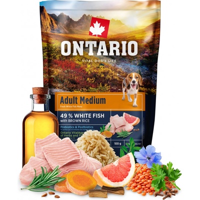 Ontario Adult Medium Fish & Brown Rice 0,1 kg