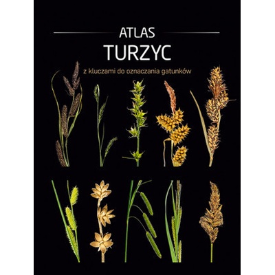 Atlas turzyc z kluczami do oznaczania gatunków