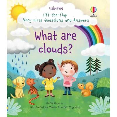 Lift-the-Flap Very First Questions and Answers What are clouds