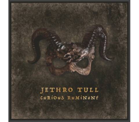 Jethro Tull Curious Ruminant Digipack CD