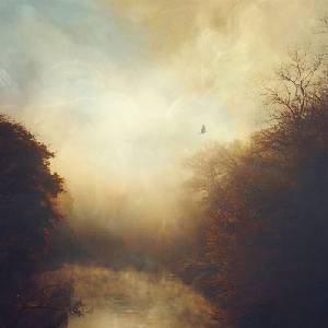 Stray Theories - This Light (Limited Edition) (Coloured) (LP) (0702224130111)