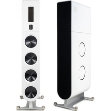 PS Audio Aspen FR30 LS