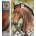 Norimpex - Puzzle Diamond Painting Kôň s kvetinami 30x40cm - 1 - 39 piese