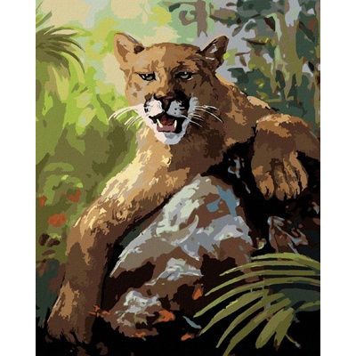 zuty Malování Podle Čísel Puma Ležící Na Kameni D. Rusty Rust 40 x 50 Cm Plátno Rám