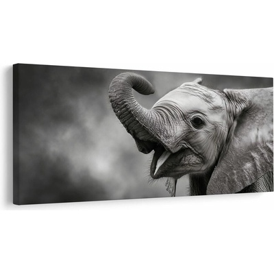 Obraz radostný sloní okamžik - 80x40