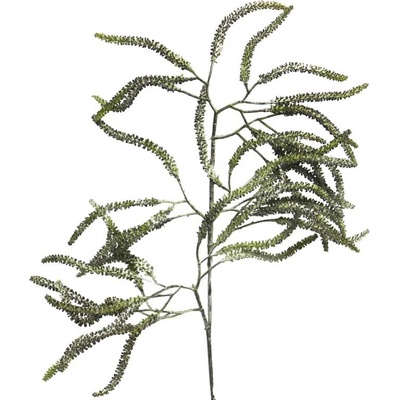 Lístka - Coryllus spray bilá V61 cm