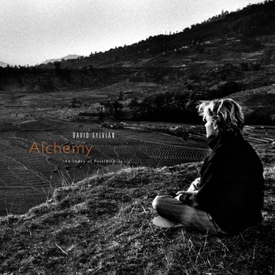 David Sylvian - Alchemy An Index Of Possibilities (180 g) LP
