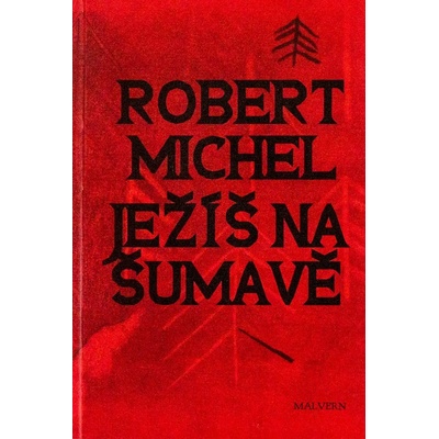 Ježíš na Šumavě - Robert Michel