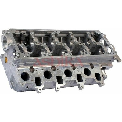 Hlava valcov motora ASHIKA VW10ES