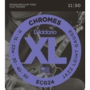 DAddario ECG24