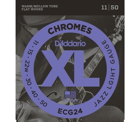 DAddario ECG24
