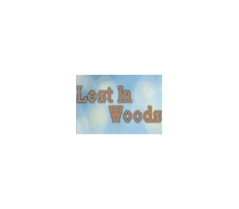 Lost In Woods 2