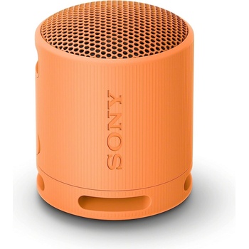 Sony SRS-XB100D