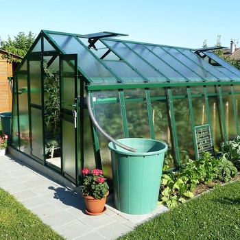 Limes Primus L L 4,5