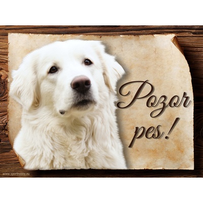 Sport hobby Cedulka Slovenský čuvač Pozor pes CP1458 15 x 11 cm