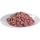 Brit Care Cat Fillets in Gravy with Hearty Duck 85 g