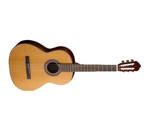 Cort AC-150