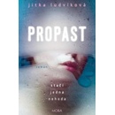 Propast - Jitka Ludvíková