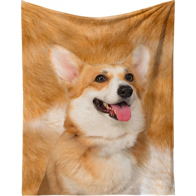 Excellent Mikroplyšová hřejivá deka Welsh Corgi 150x200